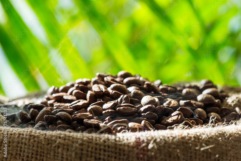 Obraz premium Kaffeebohnen im Sack