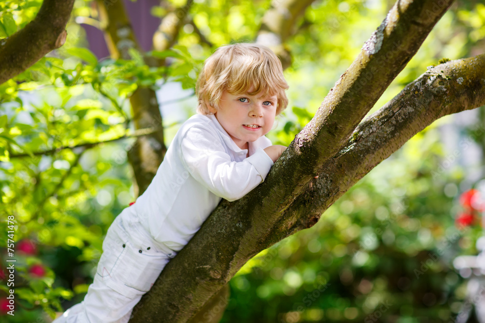 Cute little kid boy enjoying climbing on tree Cute little kid boy enjoying climbing on tree