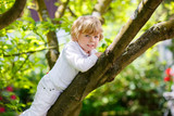 Cute little kid boy enjoying climbing on tree