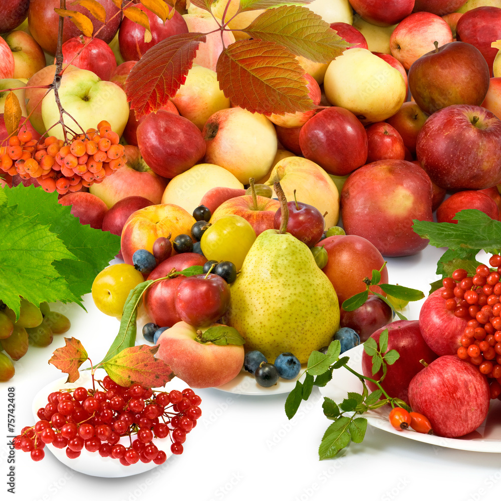 different ripe fruits closeup on a white background different ripe fruits closeup on a white background