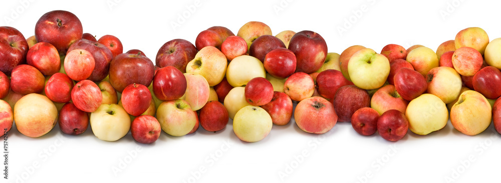 apples on a white background apples on a white background