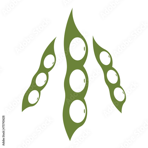 soy bean icon