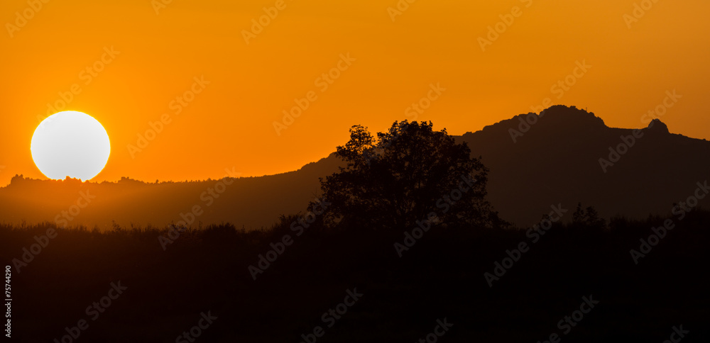 Sunset over mountain with orange sky and tree profile