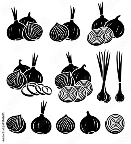 Onion set. Vector