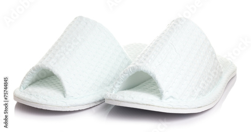 Slipper shoes in White background