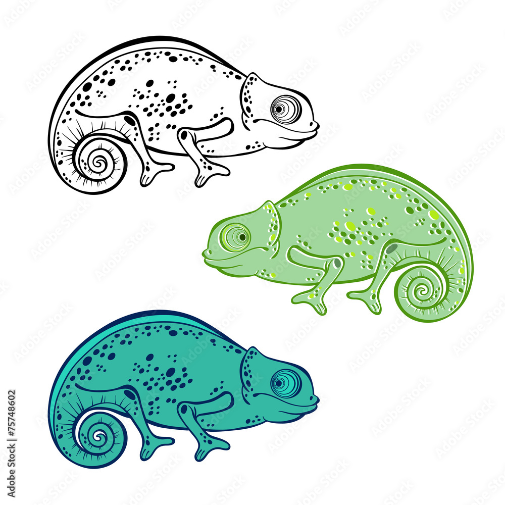 Set of chameleon isolated on white background. Hand drawn vector Set of chameleon isolated on white background. Hand drawn vector