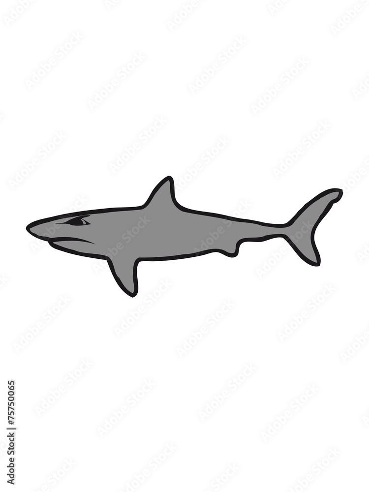 Shark fish evil Shark fish evil