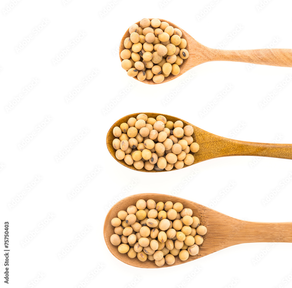 Soybean isolated on white background Soybean isolated on white background