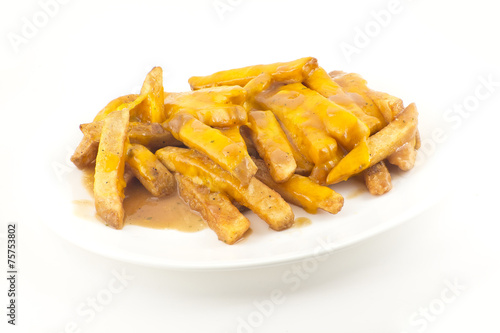 Gravy and Cheese Disco Fries
