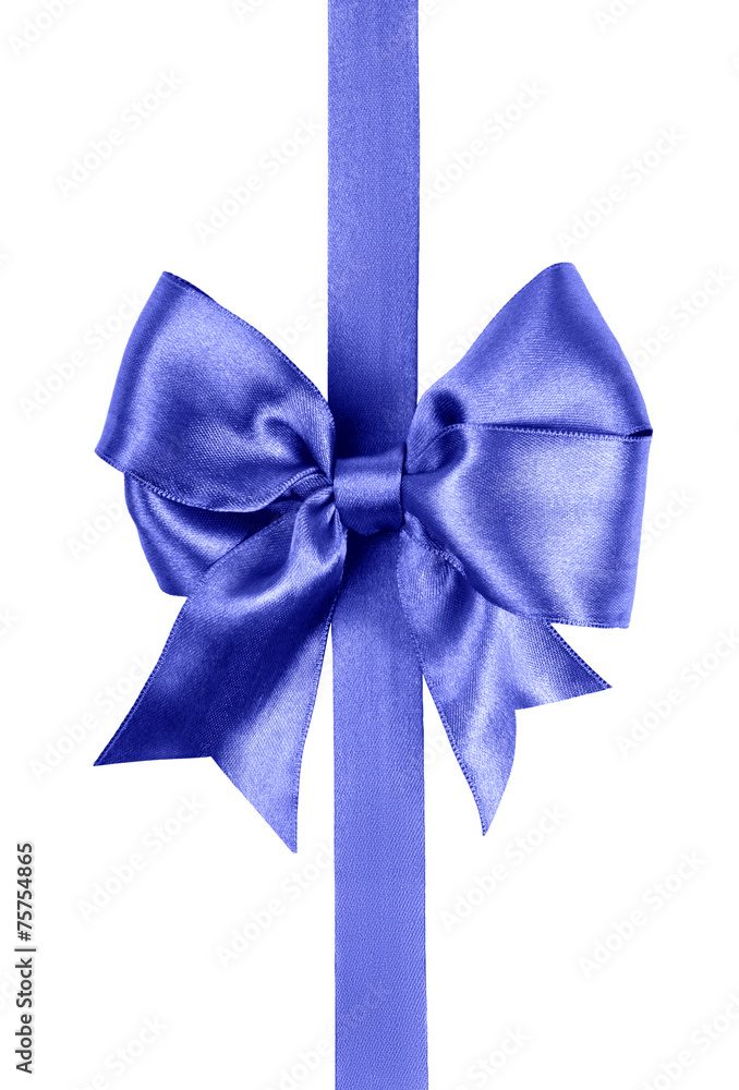 blue bow photo made from silk blue bow photo made from silk