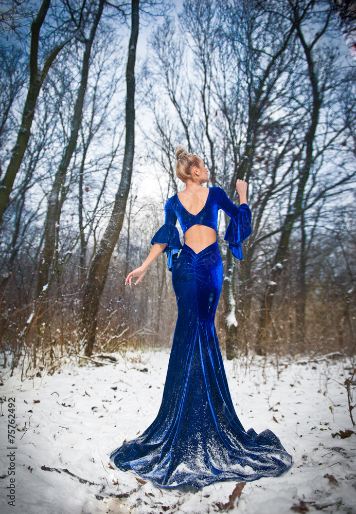 Back side view of lady in long blue dress posing in winter scene