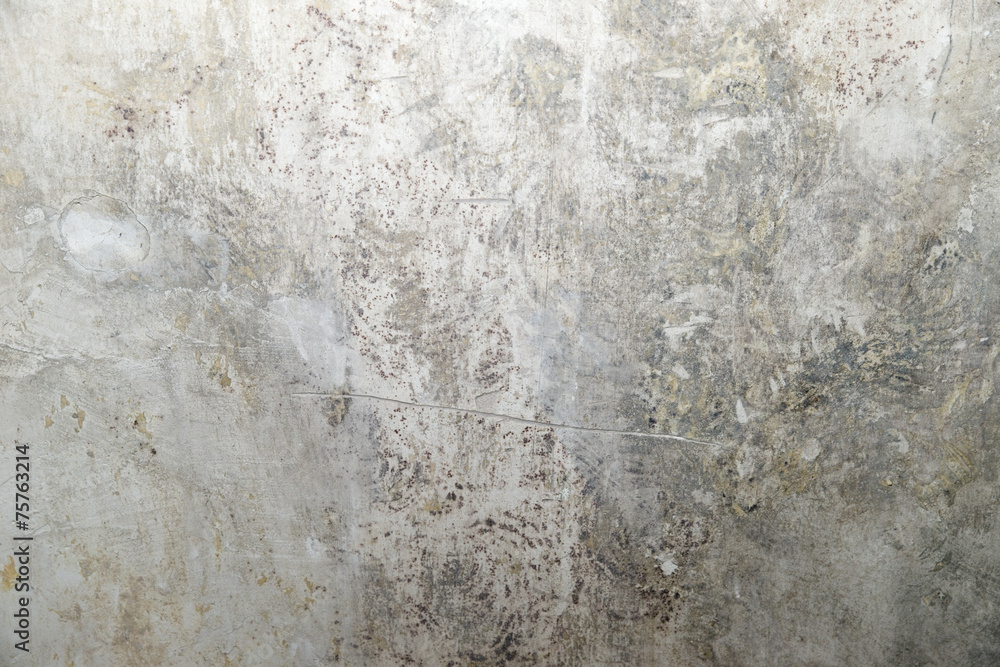 Obraz premium Schimmel an der Wand