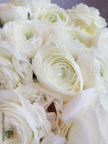 Bouquet of ranunculus © mmm