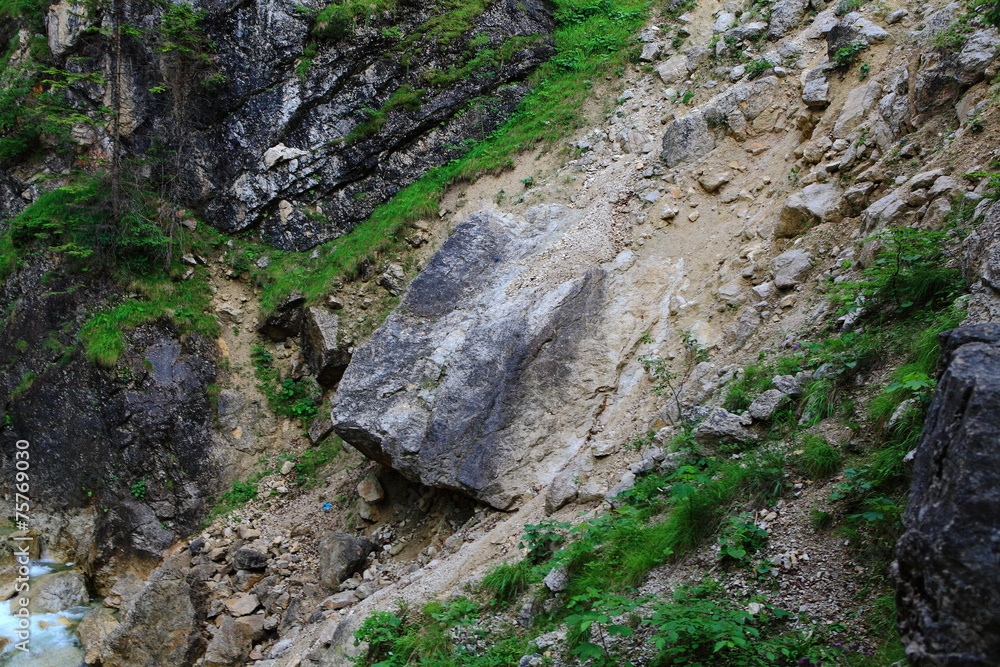 Obraz premium In der Pöllatschlucht