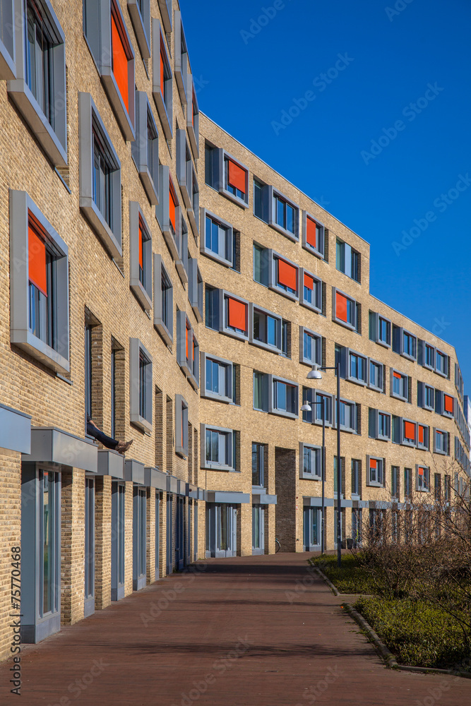 New contemporary apartment flats