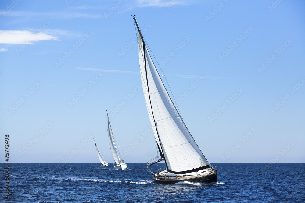 Sailing ship yachts with white sails. Luxury yachts.