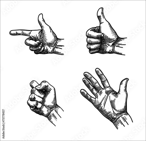 Hands