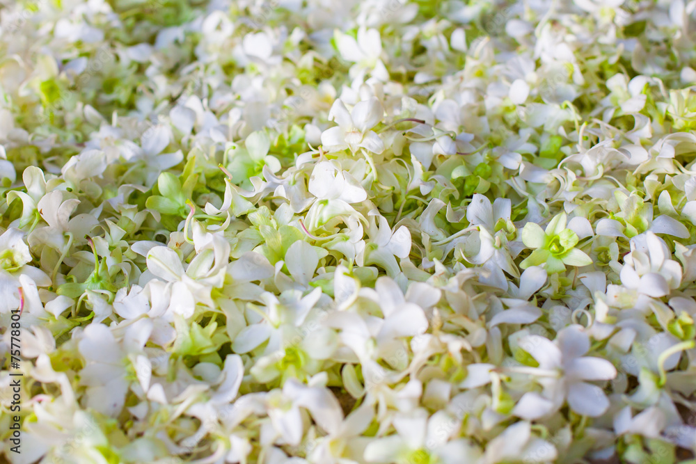 Floral arrangement at a wedding ceremony on the beach.