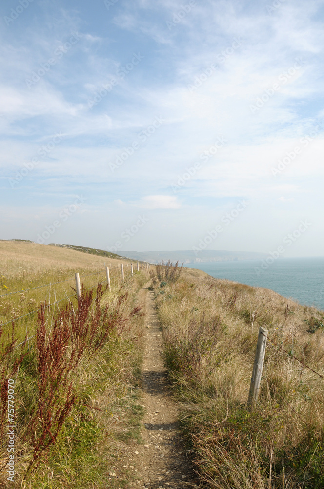 Dorset coastal path near Worth Maltravers