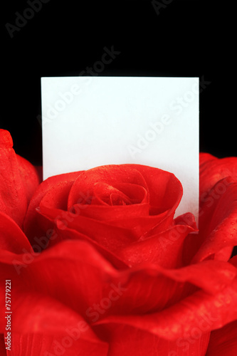 Red rose with blank note