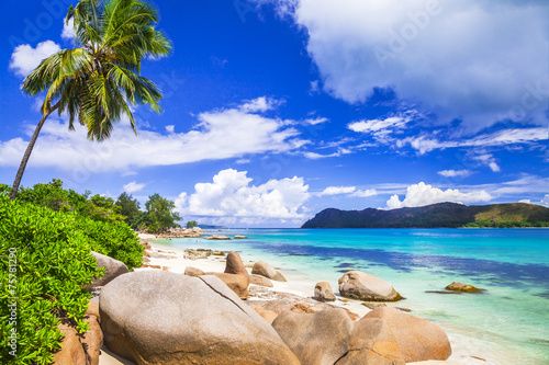 incredible nature of Seychelles islands