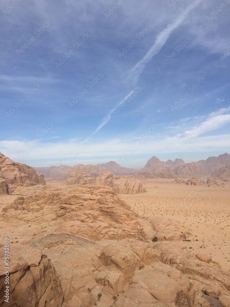 Naklejka premium wadi rum