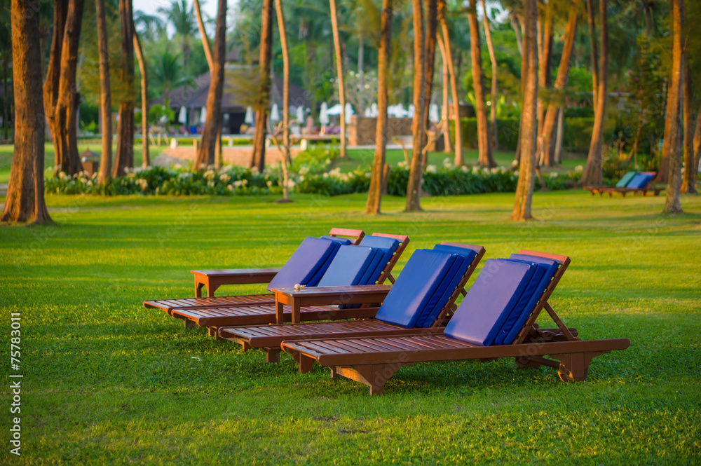 Wooden beach chairs on grass under palm tree at tropical beach