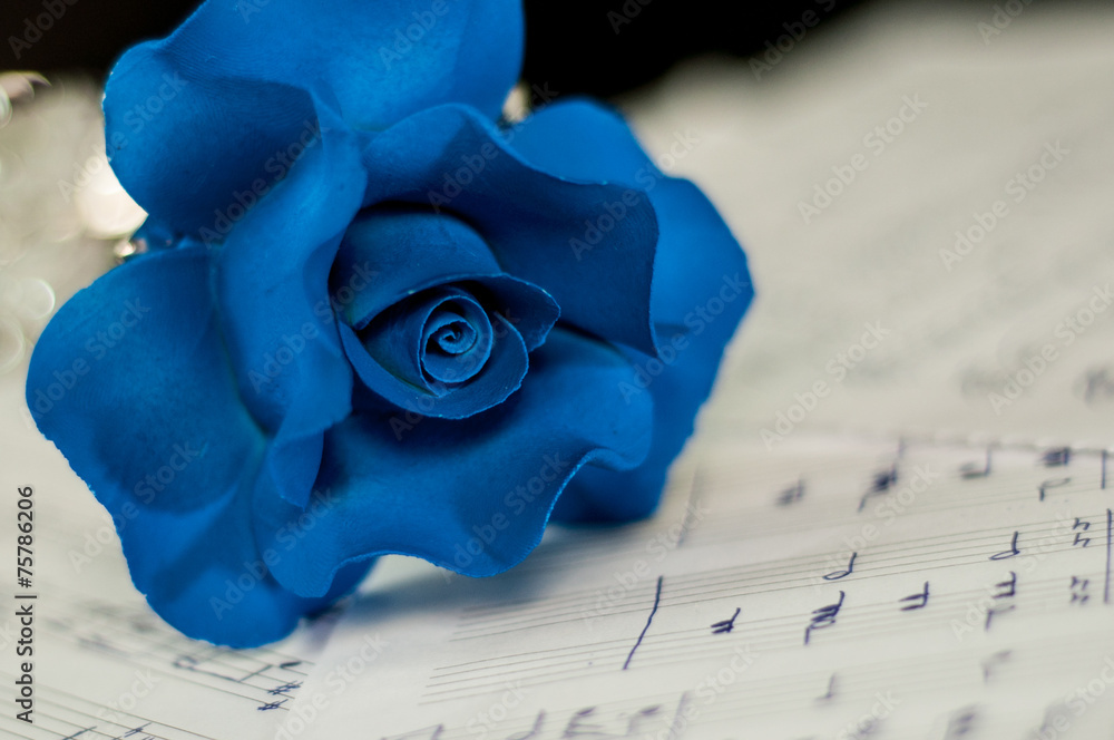 Fototapeta premium Blue rose and the music notes