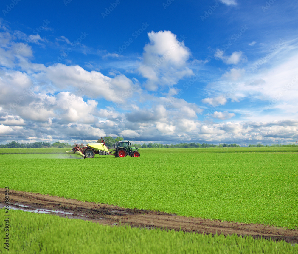 Tractor spraying wheat field with sprayer, herbicides Tractor spraying wheat field with sprayer, herbicides