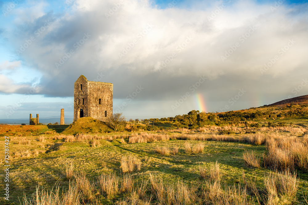 Cornish Engine House Cornish Engine House