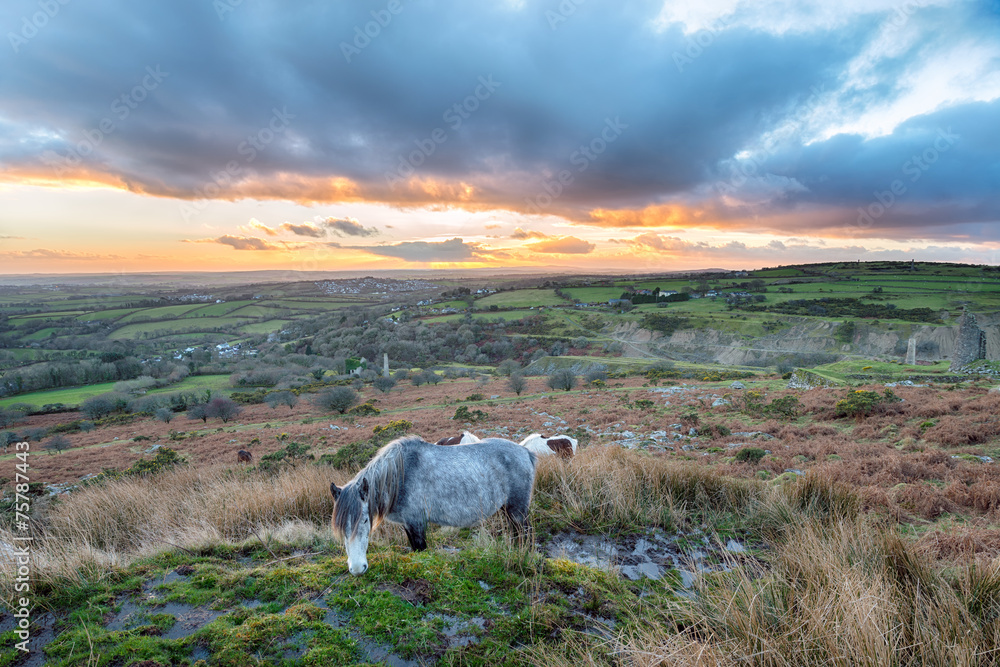 Fototapeta premium Caradon Hill on Bodmin Moor