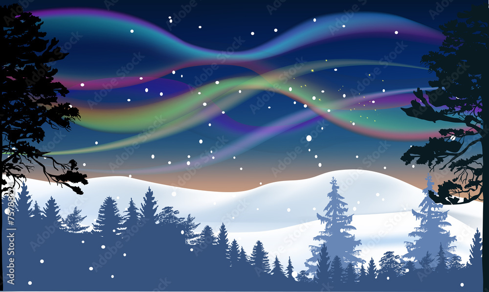 Fototapeta premium aurora polaris above winter forest