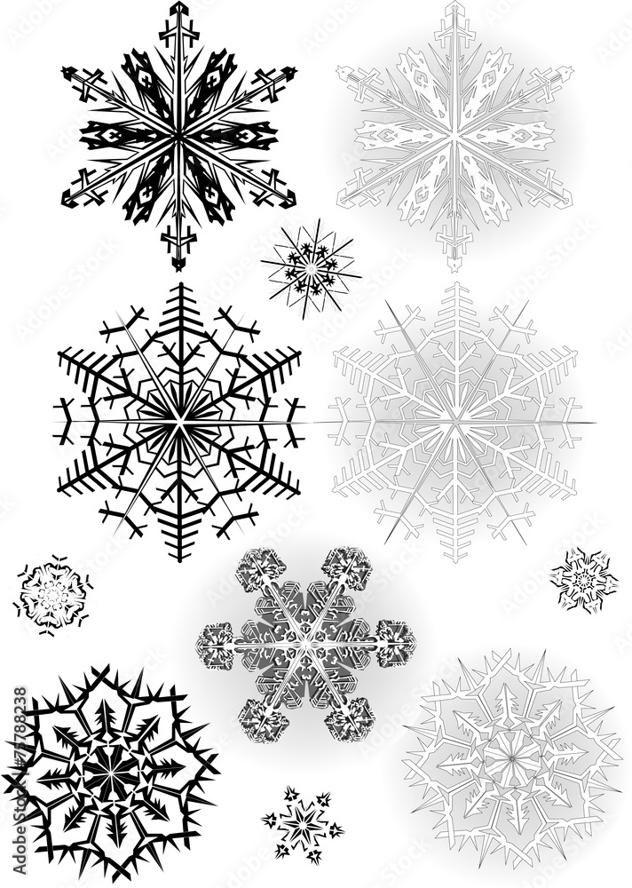 eleven grey and black snowflakes collection eleven grey and black snowflakes collection