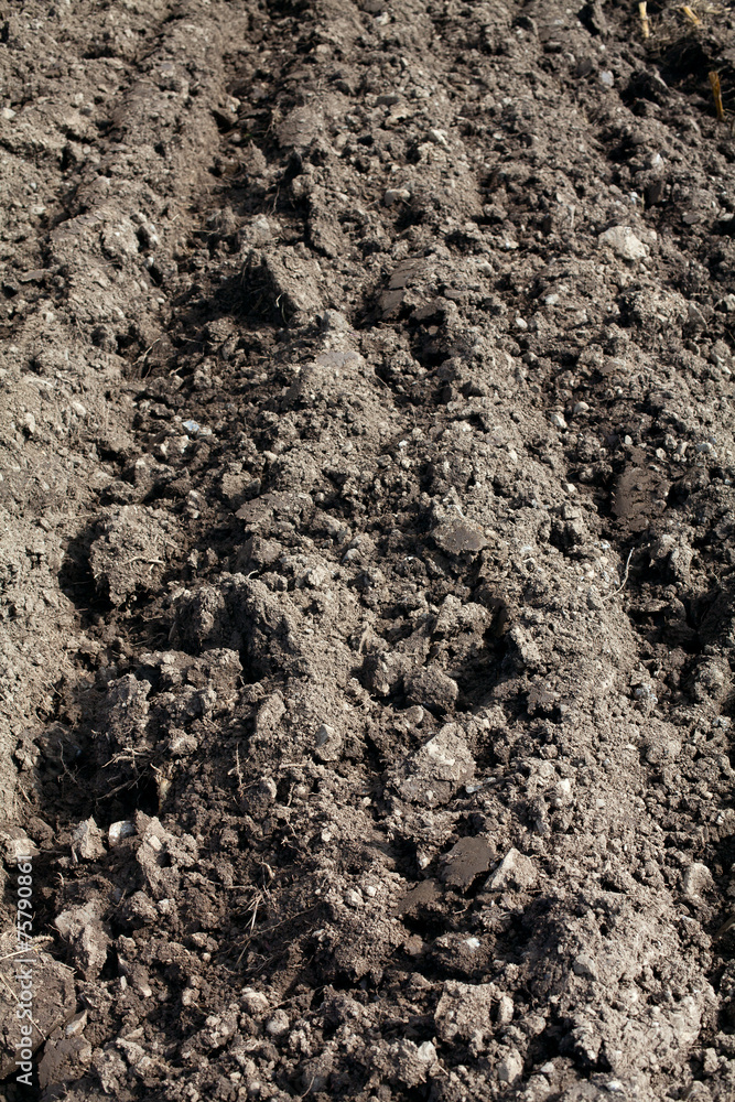 plowed field plowed field