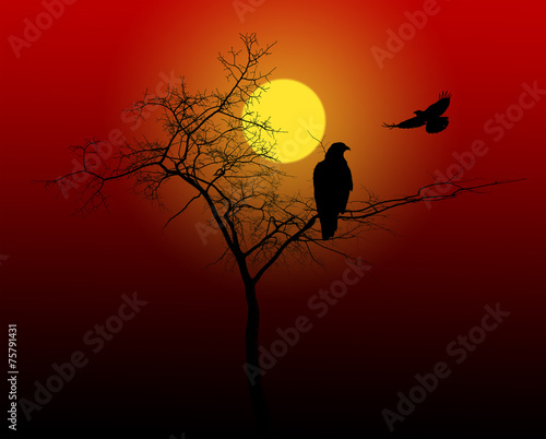 small bare tree and birds at red sunset