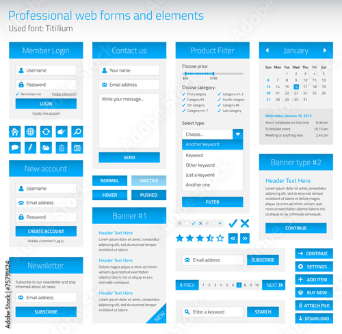 Professional set of web forms and elements