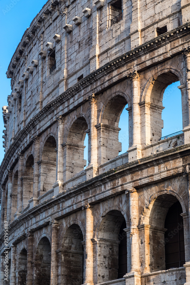 Fototapeta premium Colosseum in Rome, Italy