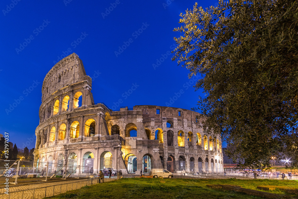 Fototapeta premium Colosseum at night in Rome, Italy