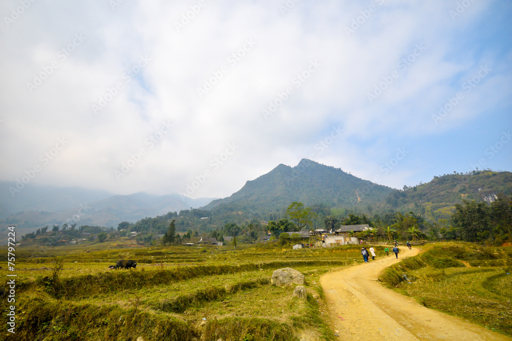 Fototapeta premium Landscape