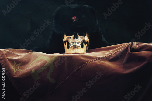 Billede på lærred Skull with Russian Flag and old Uschanka