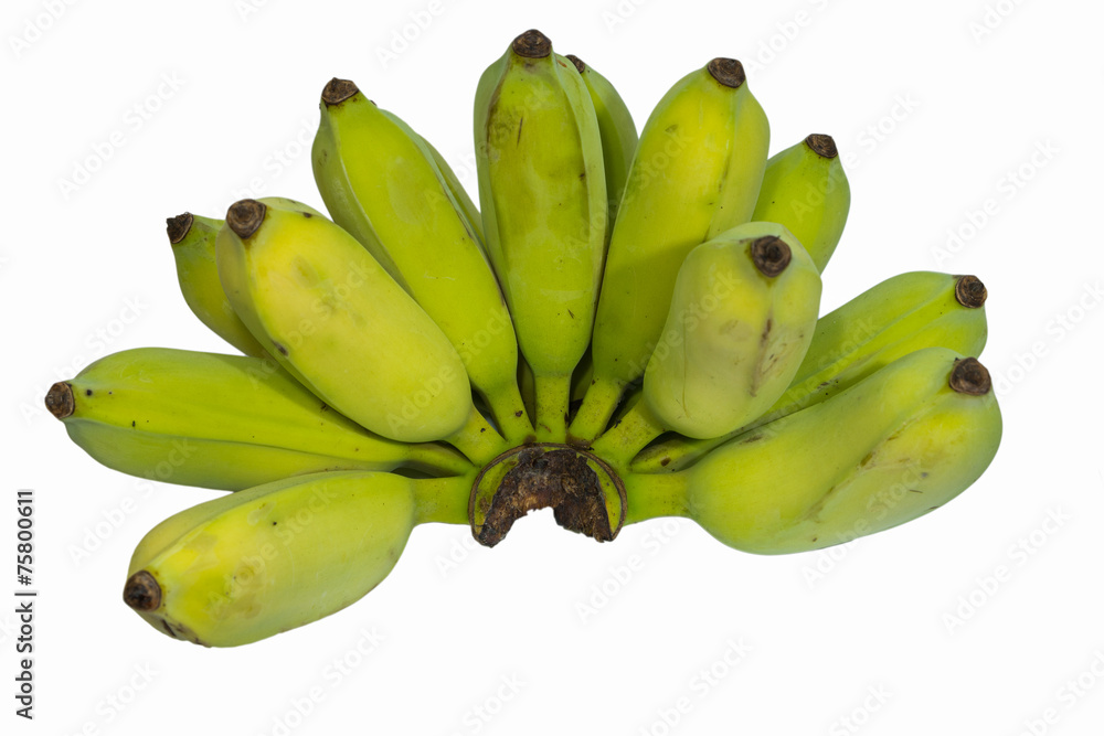 Cultivated banana isolated on white background.
