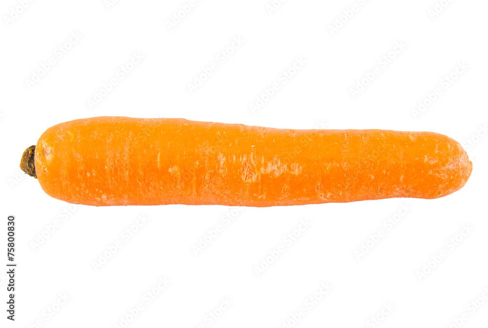 Close up of one carrot isolated on white background. Close up of one carrot isolated on white background.
