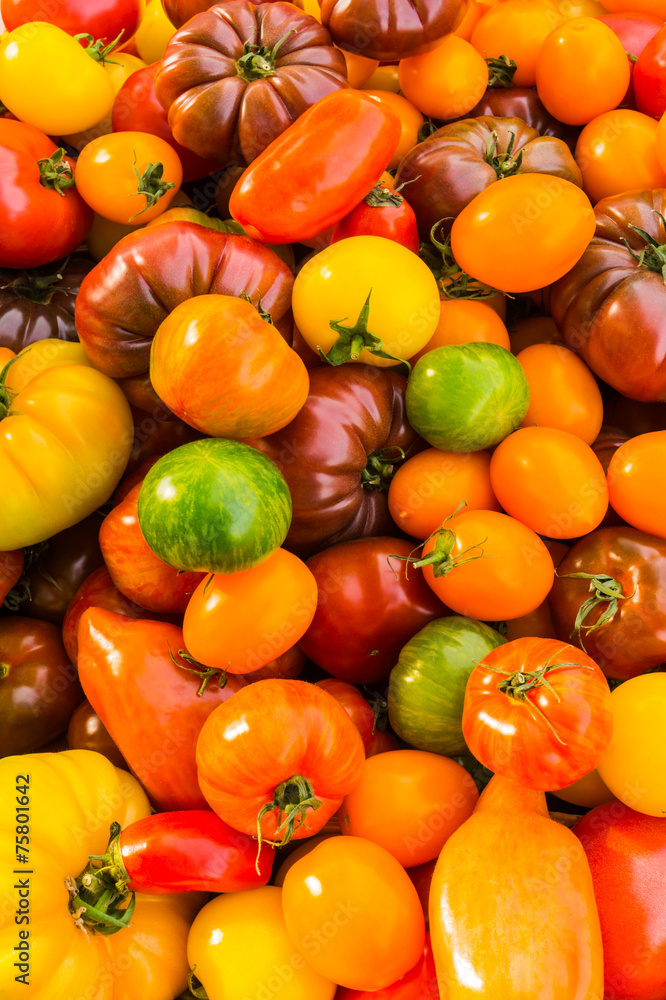Alte Tomatensorten stehen zum Verkauf Alte Tomatensorten stehen zum Verkauf