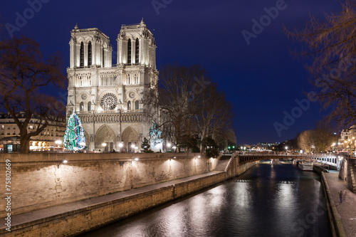 Notre Dame de Paris at night, France.