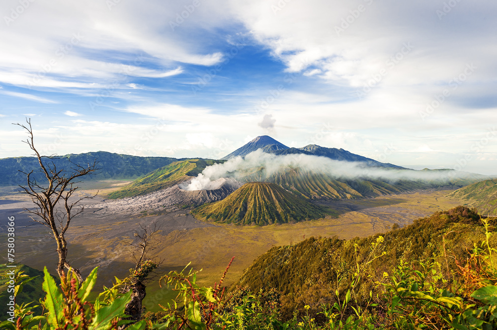 Fototapeta premium Mount bromo batok semeru volcano, java indonesia.