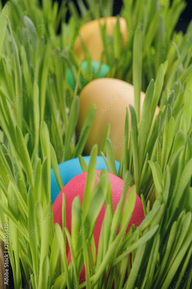 Easter eggs in a row on the grass