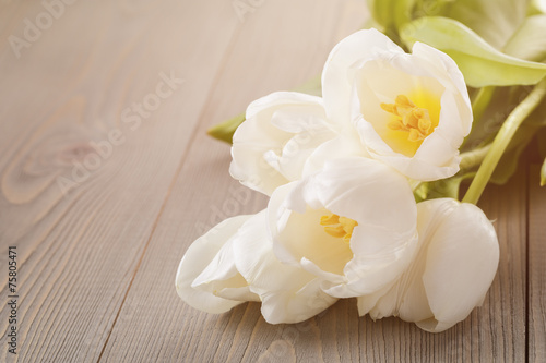 beautiful  white tulips on wooden background with copy space