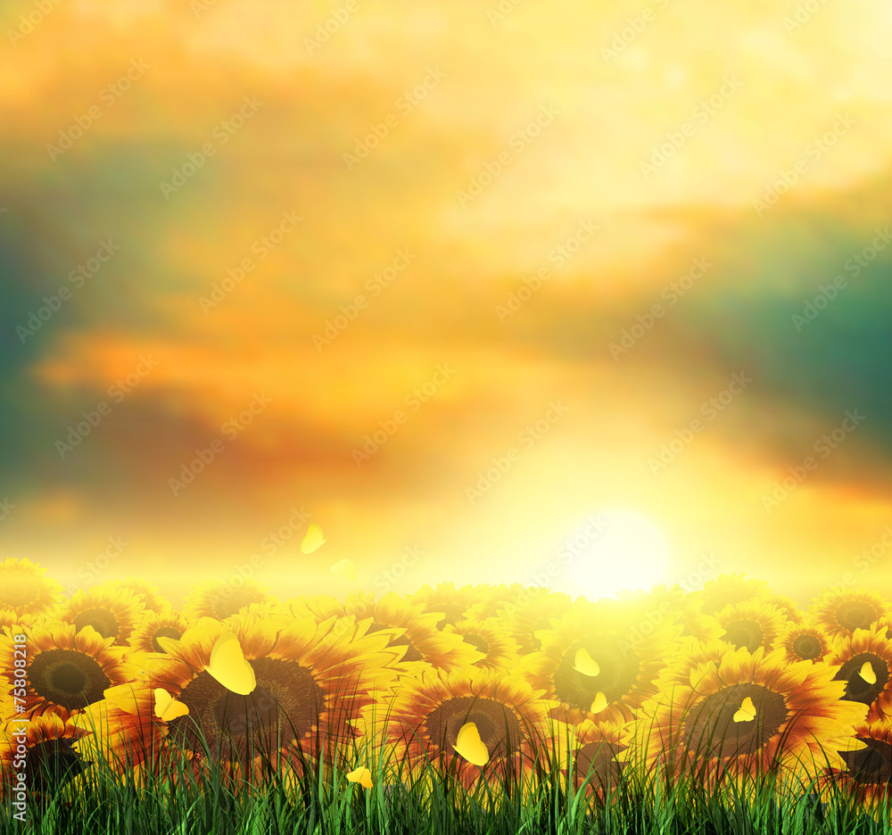 Summer, Field, Sky, Sun, Sunset, Grass, Sunflowers, Butterflies