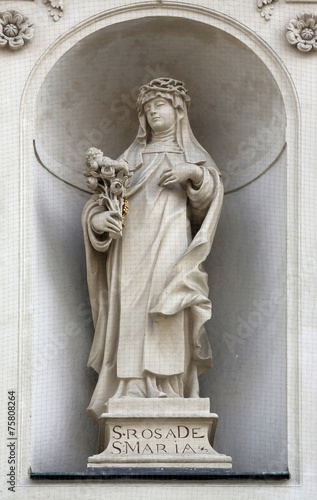 Saint Rose of Lima, Dominican Church in Vienna
