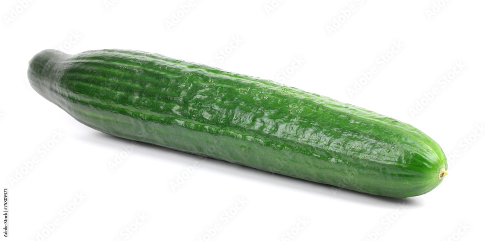 Fresh long cucumber over a white background. Fresh long cucumber over a white background.